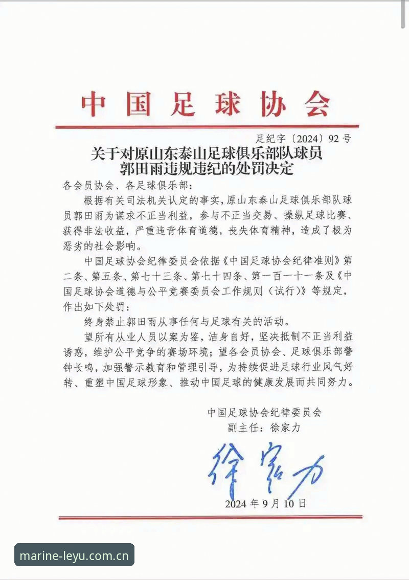 3大警示维度解读足协第三批禁足名单：65人受罚背后的足球生态重构